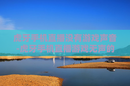 虎牙手机直播没有游戏声音-虎牙手机直播游戏无声的解决要点