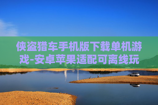 侠盗猎车手机版下载单机游戏-安卓苹果适配可离线玩的侠盗猎车手游获取