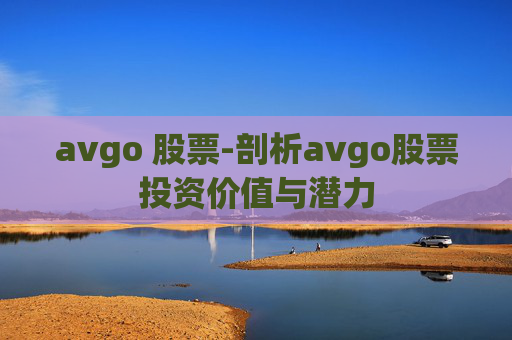 avgo 股票-剖析avgo股票投资价值与潜力