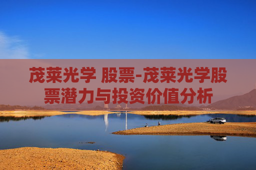 茂莱光学 股票-茂莱光学股票潜力与投资价值分析
