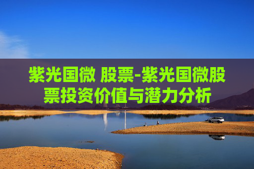 紫光国微 股票-紫光国微股票投资价值与潜力分析