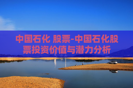 中国石化 股票-中国石化股票投资价值与潜力分析