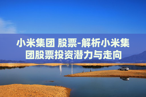 小米集团 股票-解析小米集团股票投资潜力与走向