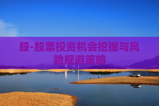 股-股票投资机会挖掘与风险规避策略