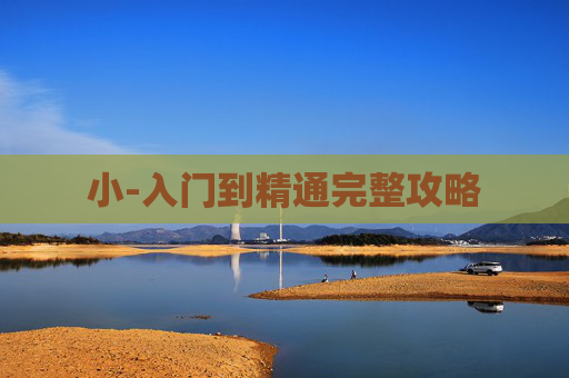 小-入门到精通完整攻略
