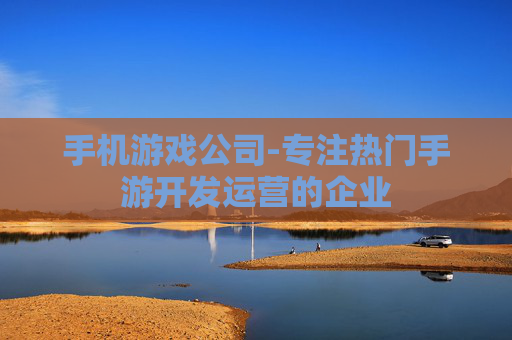 手机游戏公司-专注热门手游开发运营的企业