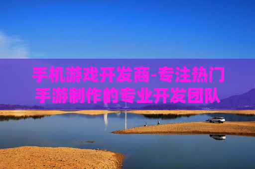 手机游戏开发商-专注热门手游制作的专业开发团队