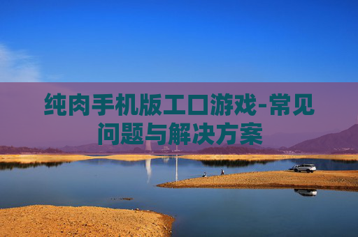 纯肉手机版工口游戏-常见问题与解决方案